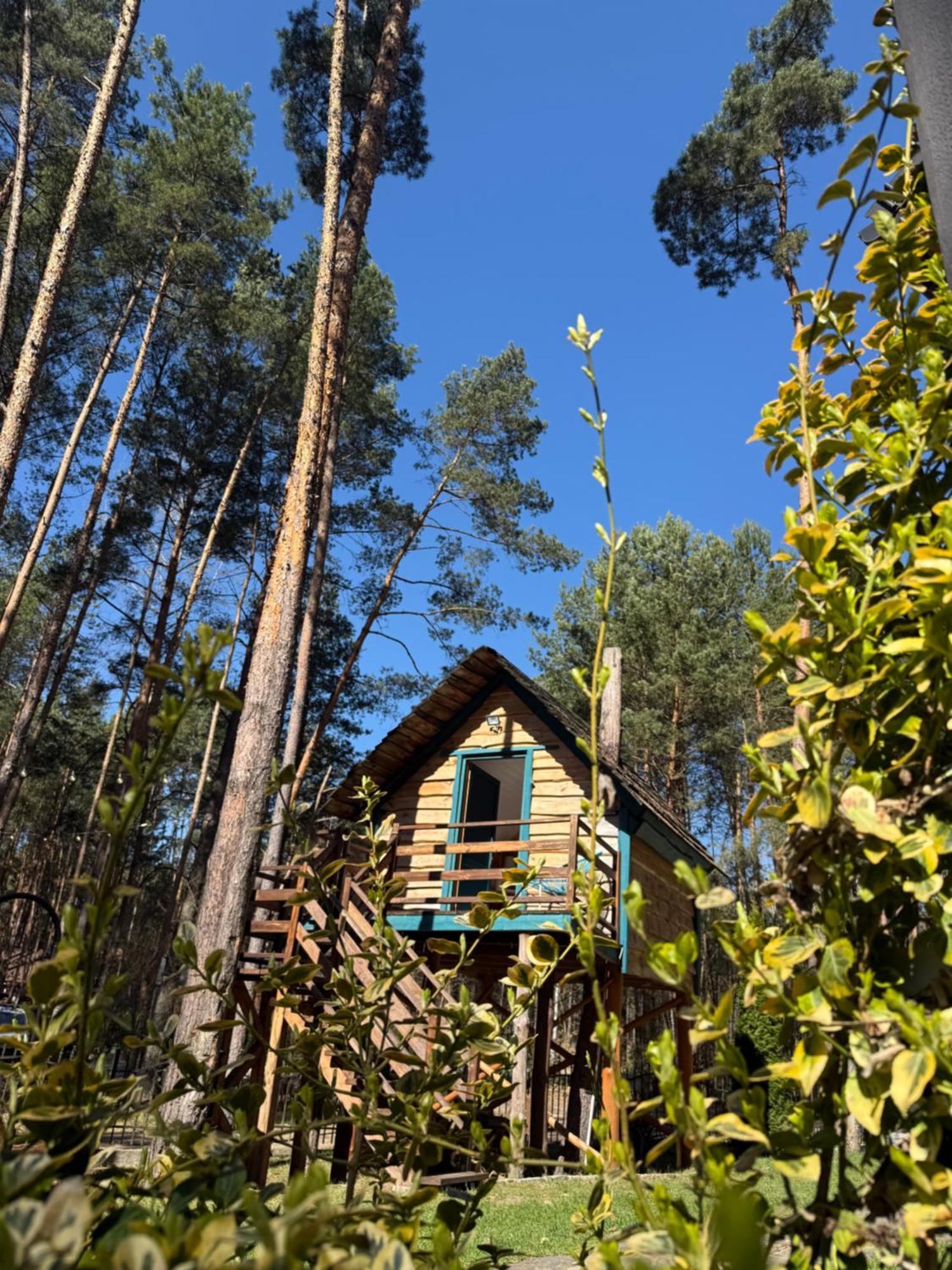 Domek W Lesie Nad Zalewem Chancza Exterior foto